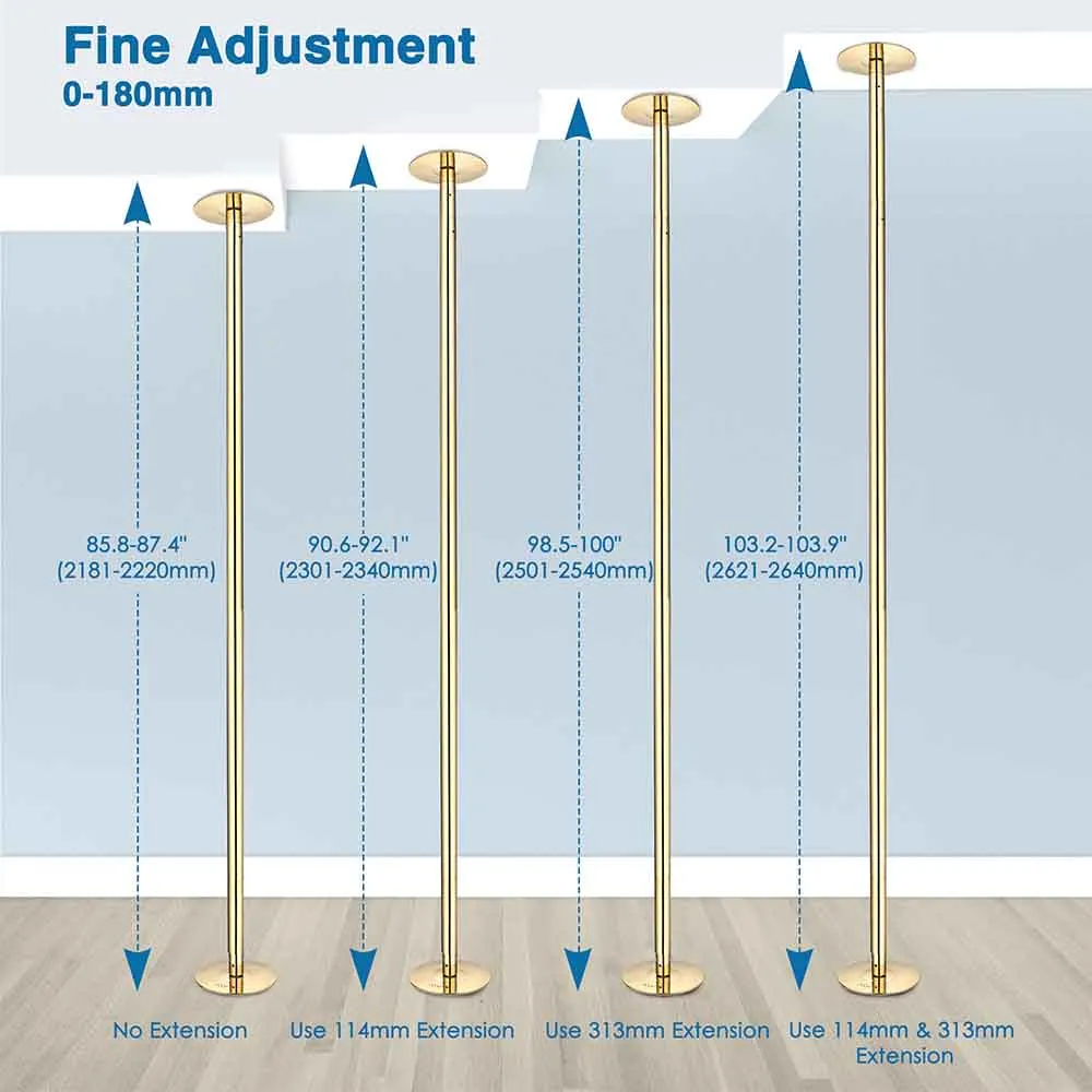 TheLAShop 9ft Golden Spinning Strip Pole